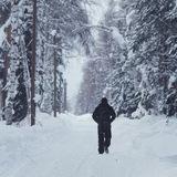 Истории странника. КВ.