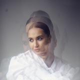 Файлы Синицы