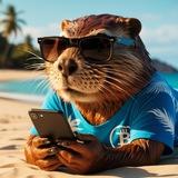 Crypto Bober