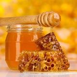 Башкирский мёд 🍯🐝 ОГЭ ГВЭ 2025