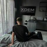 XDEM