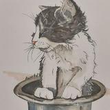 40catsFM🐈🐈⬛️