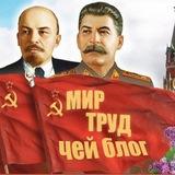 чей блог?
