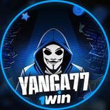YANGA77