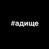 Тимик и его команда 😺