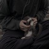 Дневник | Абу Мусе🫀